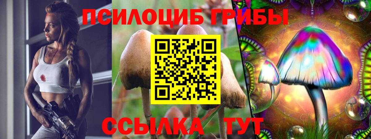 Галлюциногенные грибы мухоморы  Вход с VPN  Азнакаево 
